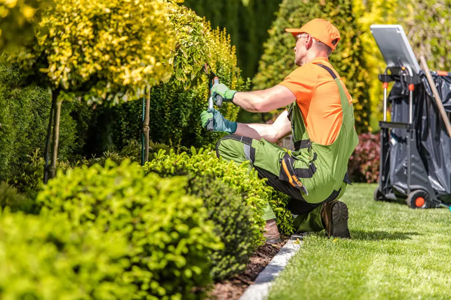 Cerchi un giardiniere a Cerea? Offriamo taglio erba, potature, realizzazione giardini, prato a rotoli, impianti di irrigazione e manutenzioni per privati, aziende e condomini a Cerea e dintorni.